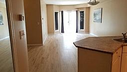 Spacious And Bright 2 Bedroom, 2 Full Bathroom Main Floor
