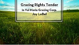 Grazing Rights Tender - Rm Of Val Marie No 17