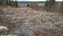Lake View Property , 1.18 Acre Lot, Long Lake Not Ocean View