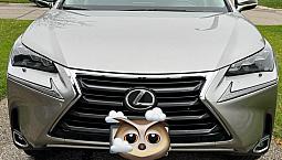 Lexus Nx200t