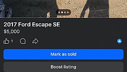 2017 Ford Escape Se 