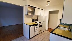 One Bedroom  Apartment  Suite 
