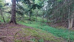 2.25 Acres, Cleared, Surveyed, Cable Internet, 25 Min To Costco