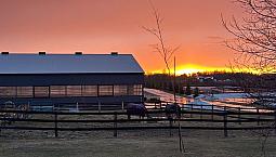     Iso Long-Term Farm/Acreage Rental