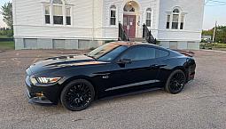 2015 Mustang Gt Pp1 $36,900