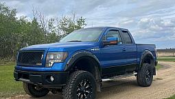 2009 Ford F-150