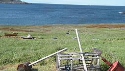 Up For Offers, Land # 2 At Elliston, 49-51 Maberly Road, Right B