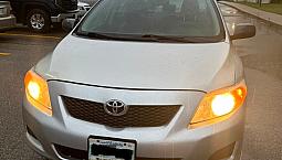 Safited 2009 Corolla