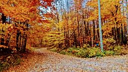 Beautiful Riverfront Lot 30 Minutes From Parliament
