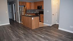 Amazing 2 Bdrm 1.5 Bath Lower Level Duplex Avail Nov 1