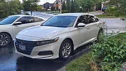 2019 Honda Accord 