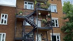 4 1/2 À Limoilou. Un Mois Gratuit!