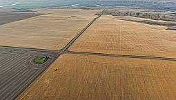 17Q Of Grain Land Along Sk-Ab Border