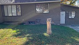 Bright 2 Bdrm Legal Upper Suite Available Oct 10Th