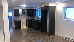Renovated One Bedroom Apartment