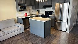 3-Bed Furnished Townhouse For Rent In Mckenzie Lake