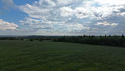 15 Acres Fully Fenced Land Between Breton And Drayton Valley.
