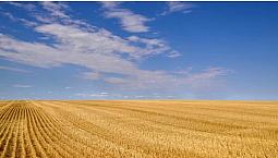 Farm Land For Sale