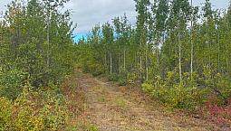 Agriculture Land For Sale In Yukon