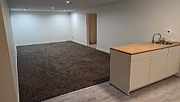 Inner City Basement For Rent 