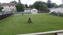Just Beside U Of M,  3 Bedrooms Detached Whole House For Rent