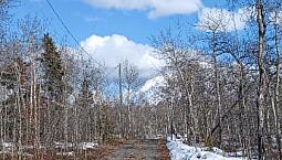 Watson River Subdivision - 3-Acre Lot