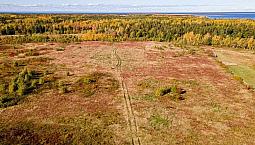 Seaside Blueberry Land For Sale