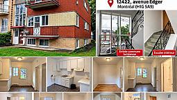 Appartment For Rent