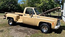1976 Chevrolet C10 Custom Deluxe Stepside