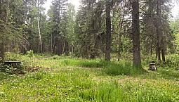 5 Acres For Sale Near Clyde