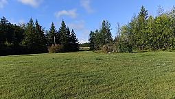 159 Acre Hobby Farm For Sale