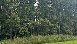 3 Acres Out Of Subdivision Parkland County 