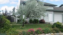 Nech Duplex Available For May-3 Bed/2.5 Bath$1900/Month Plus Dd