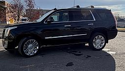 2019 Cadillac Escalade Platinum-meticulously Maintained