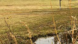 Jimsmith Lake Acreage