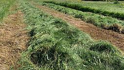 960 Acres Of Farm And Recreational Land In Northern Manitoba
