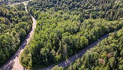 Terrain 4 Acres  St Faustin Location Court Terme Permis