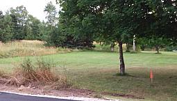 Land For Sale Pasadena