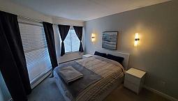 Downtown Furnished 1 Bed 1 Bath Dec 1
