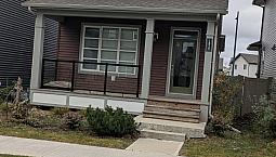 Whole House For Rent