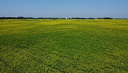 160 Acres For Sale Mundare Ab