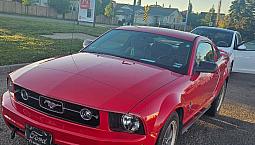 2006 Ford Mustang W/pony Package