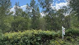 New 4.4 Acre Lot In Rusagonis/ Lincoln Area