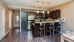 Executive Loft Condo - Furnished Or Unfurnished