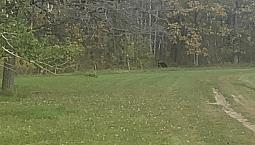 Interlake Land For Sale