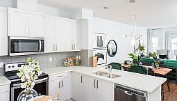 Townhome In Windermere