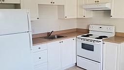 Newly Renovated & Close To Transit One Bedroom Suite