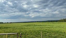 15 Beautiful Acres Between Drayton Valley And Breton