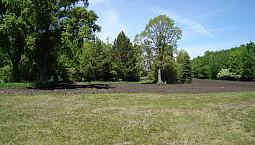 8 Acres St Andrews Vacant Subdividable Land For Sale