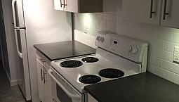 Spacious & Quiet Commercial Drive Area 2 Bdrm Garden Level Suite